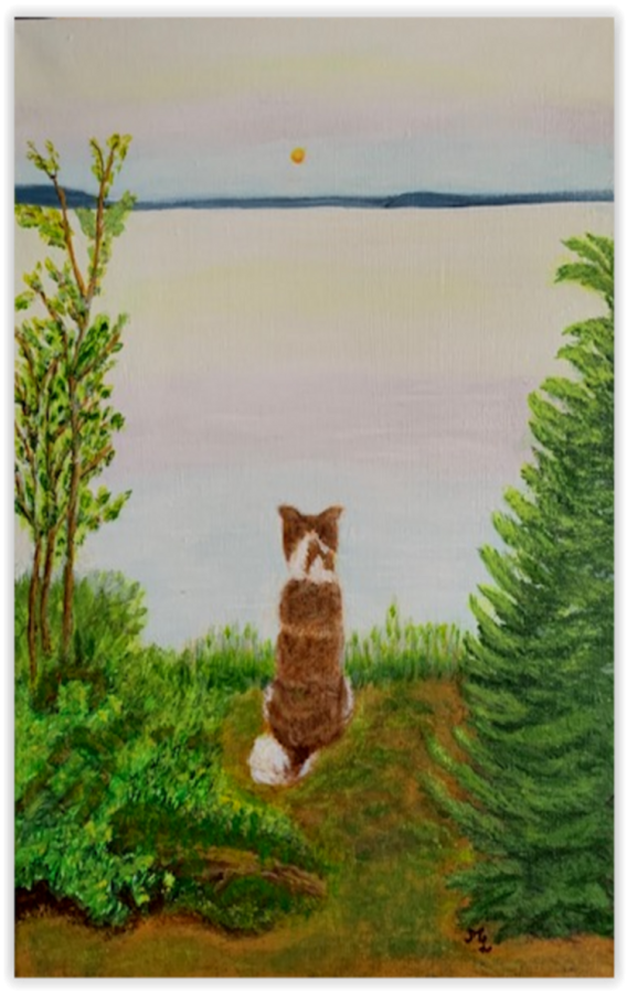 River (pour rivière)